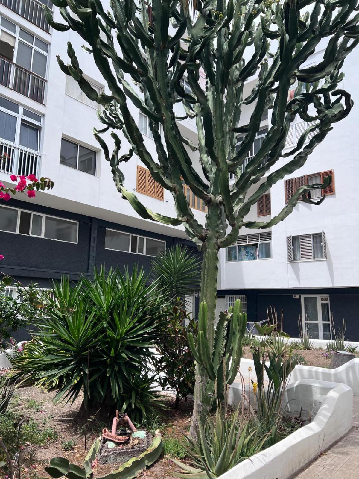 Relax Apartamento 3 Las Palmas de Gran Canaria Kültér fotó